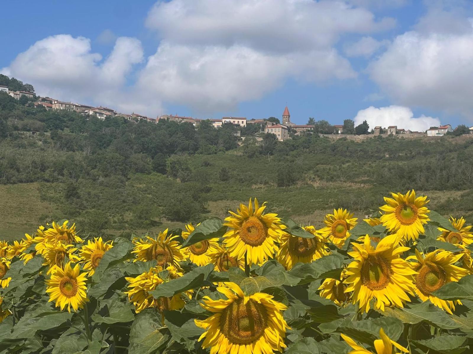 Monacella Διαμέρισμα Nonette Εξωτερικό φωτογραφία